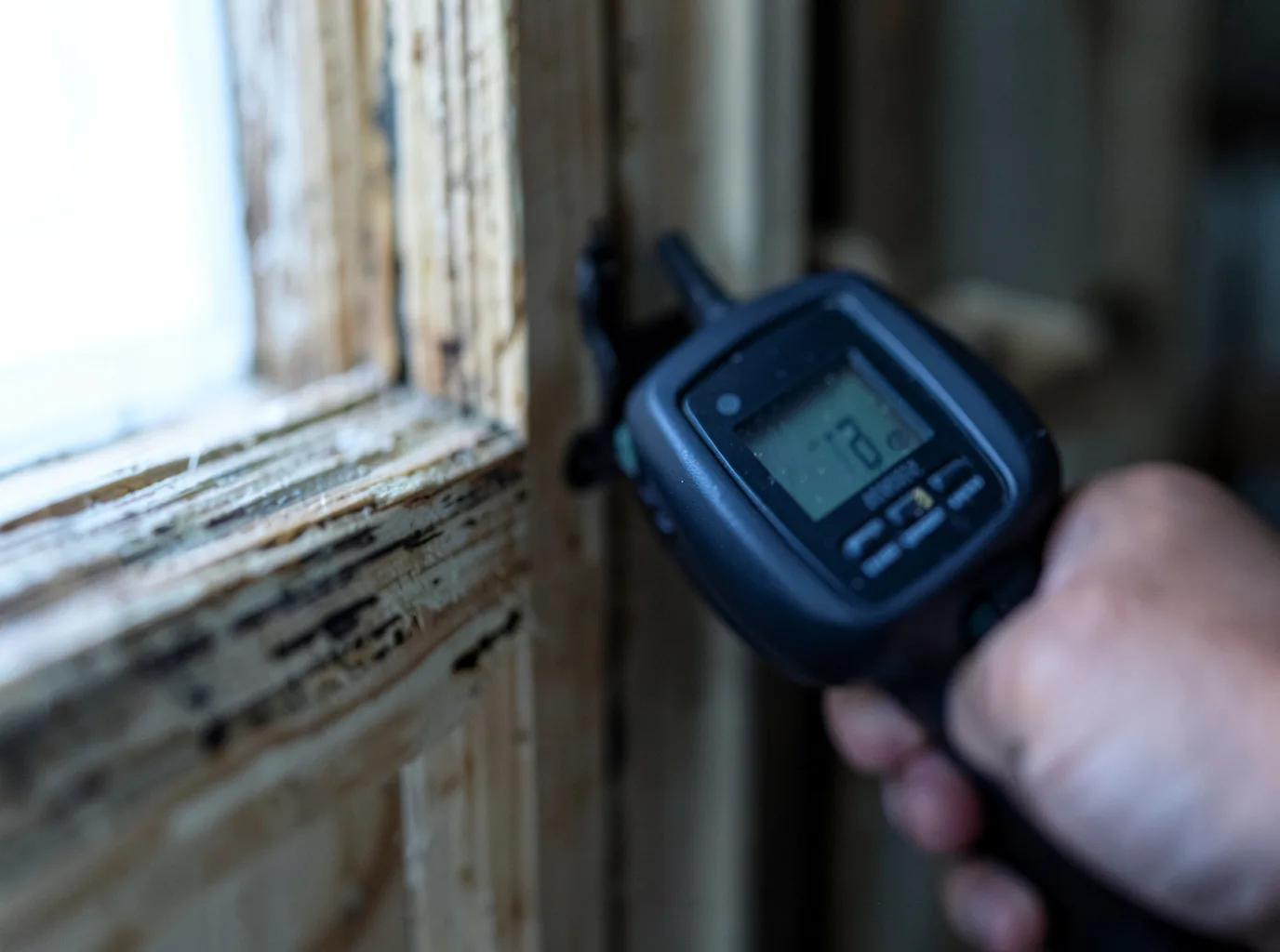 Moisture Inspection And Documentation in Cedar, KS